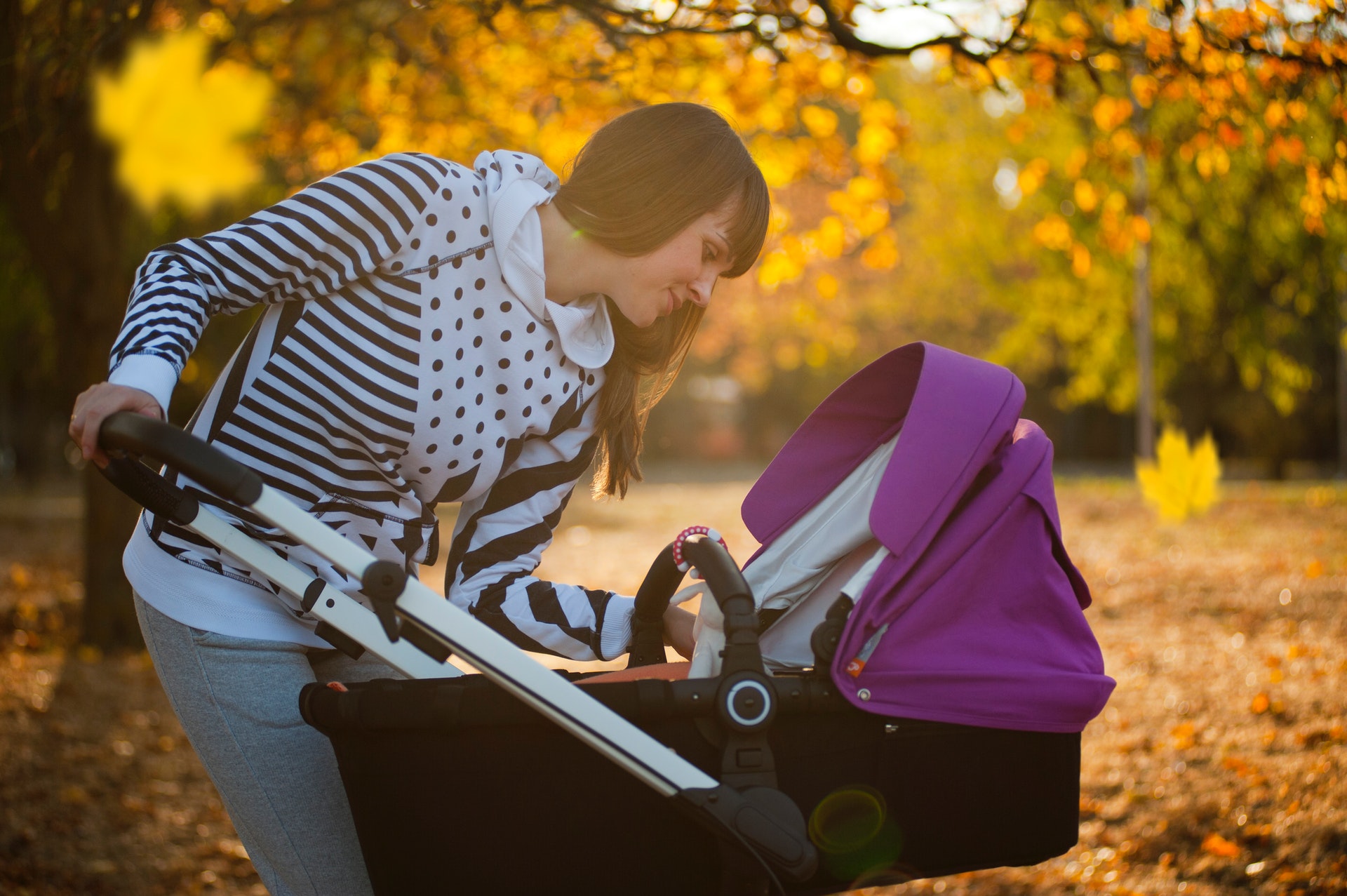 Stroller