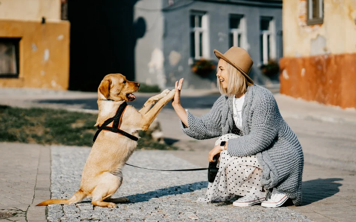 Training your dog to come when called is what you need to do