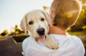 happy dog