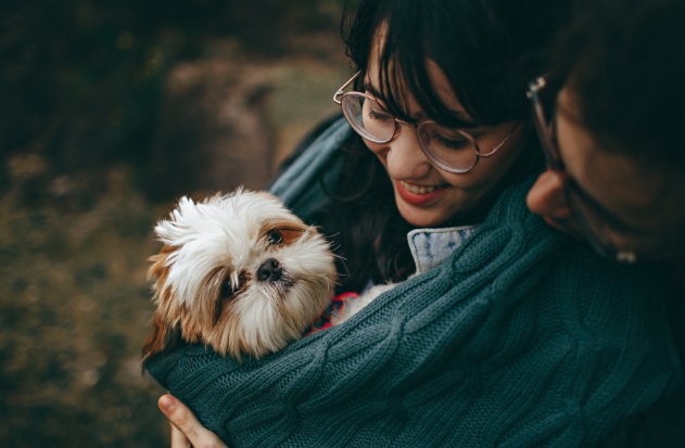 dog